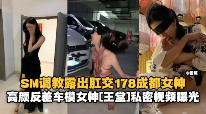 SM调教露出肛交178反差婊女神，高颜值母狗私密黑料曝光